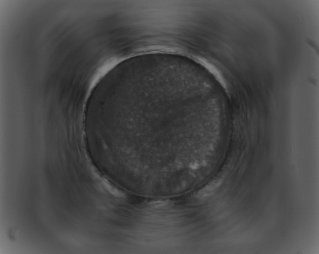 X0000093121373200710171236