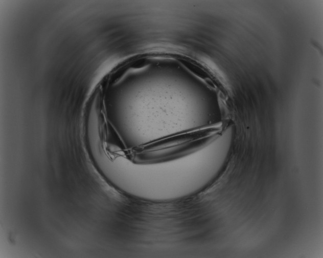 X0000093121376200710171236