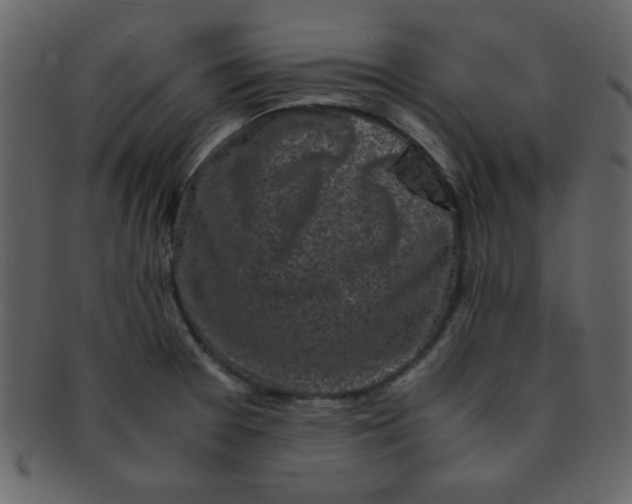 X0000093121377200710171236