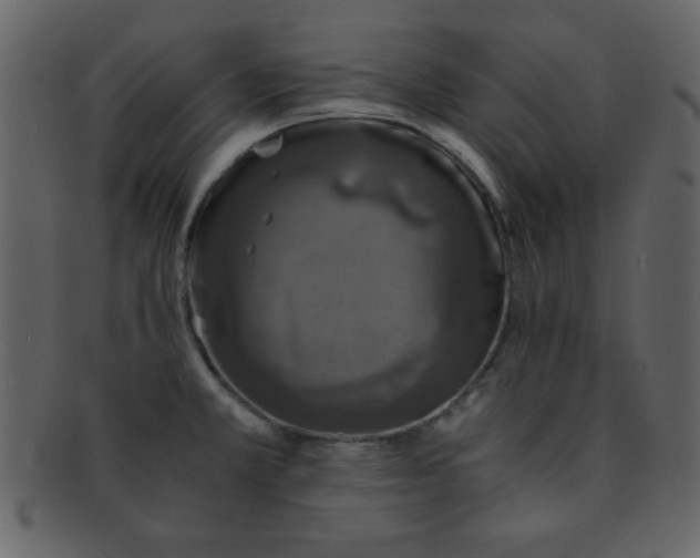 X0000093121381200710171236