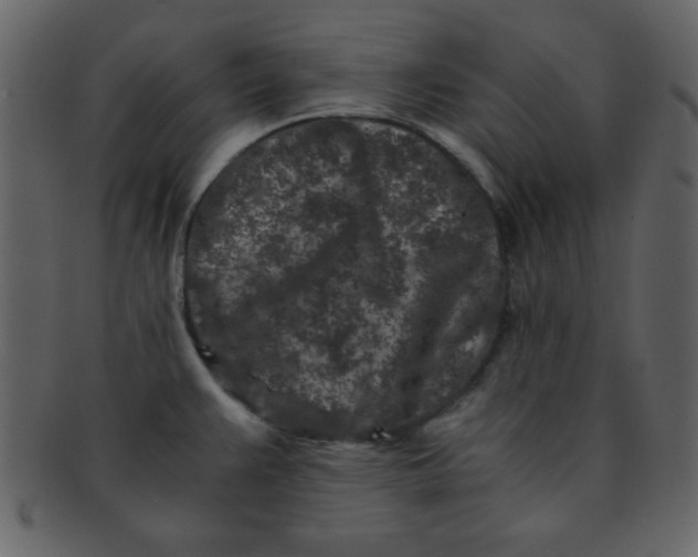 X0000093121383200710171236