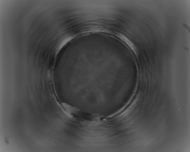 X0000093121385200710171236