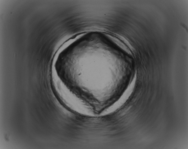 X0000093121387200710171236