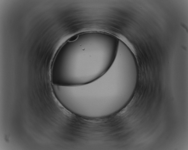 X0000093121388200710171236