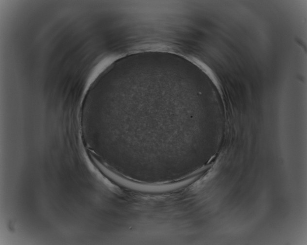 X0000093121389200710171236