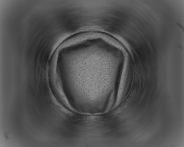 X0000093121390200710171236