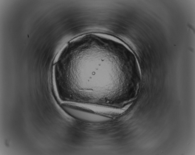 X0000093121391200710171236