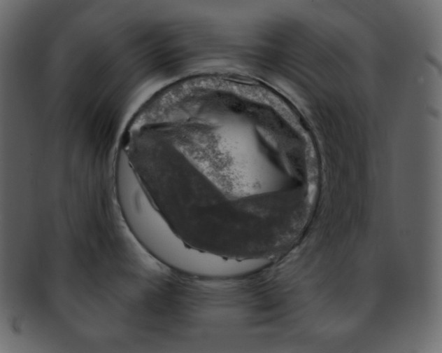 X0000093121392200710171236