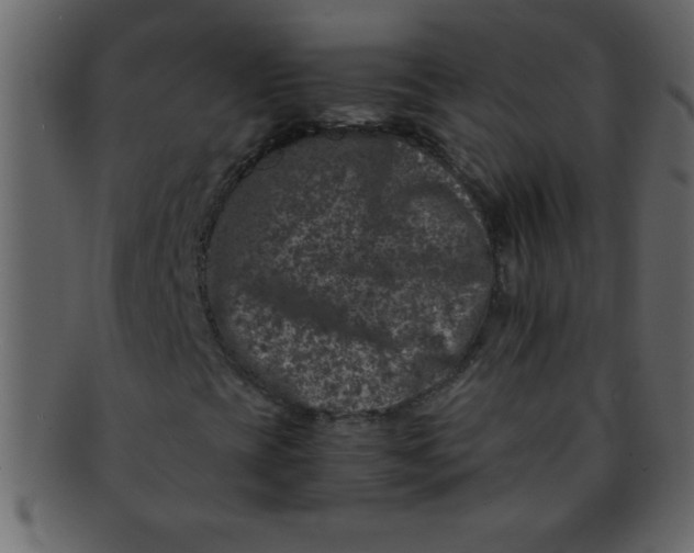 X0000093121393200710171235