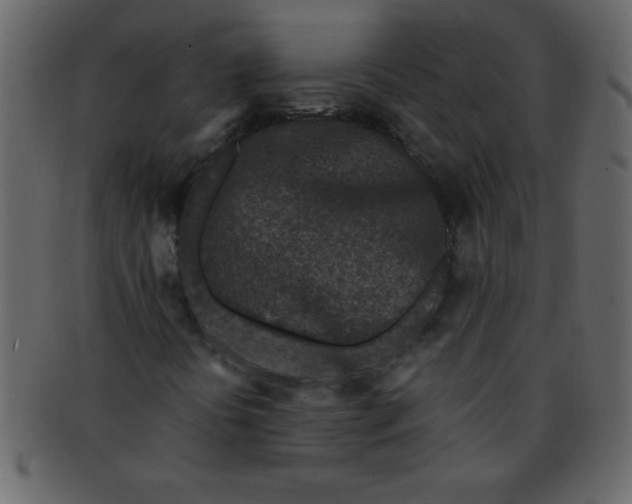 X0000093121394200710171235