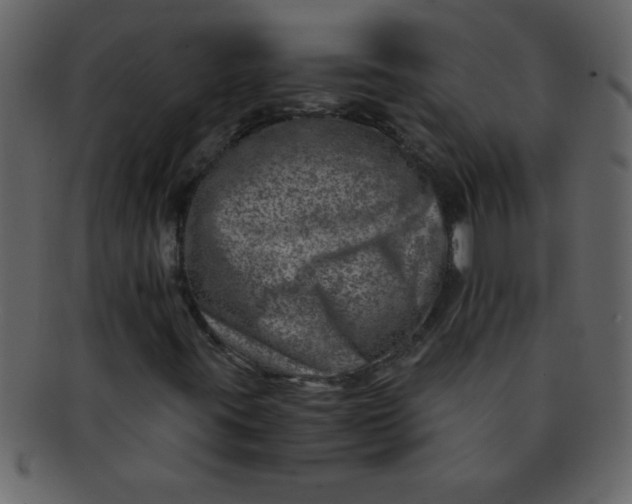 X0000093121395200710171235