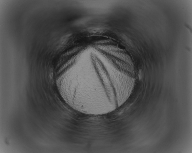 X0000093121396200710171235