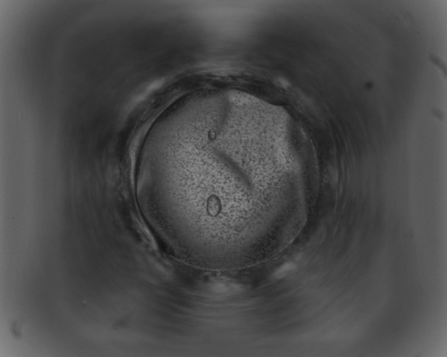 X0000093121398200710171235