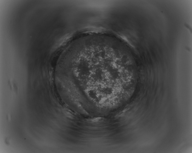 X0000093121399200710171235