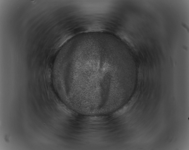 X0000093121401200710171235