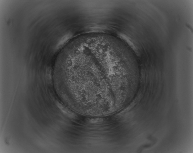 X0000093121403200710171235