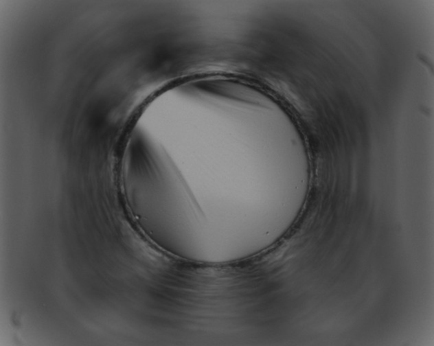 X0000093121404200710171235