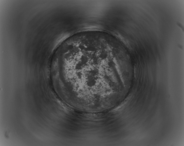 X0000093121405200710171235