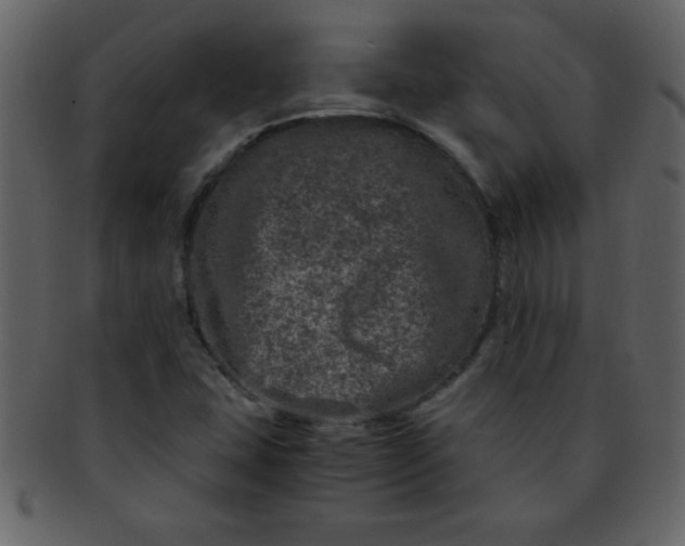 X0000093121407200710171235