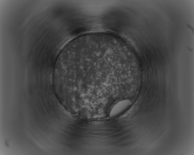 X0000093121409200710171235