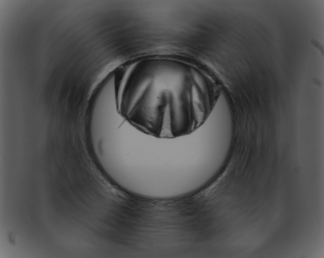 X0000093121410200710171235