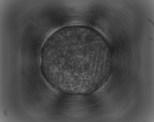 X0000093121413200710171235