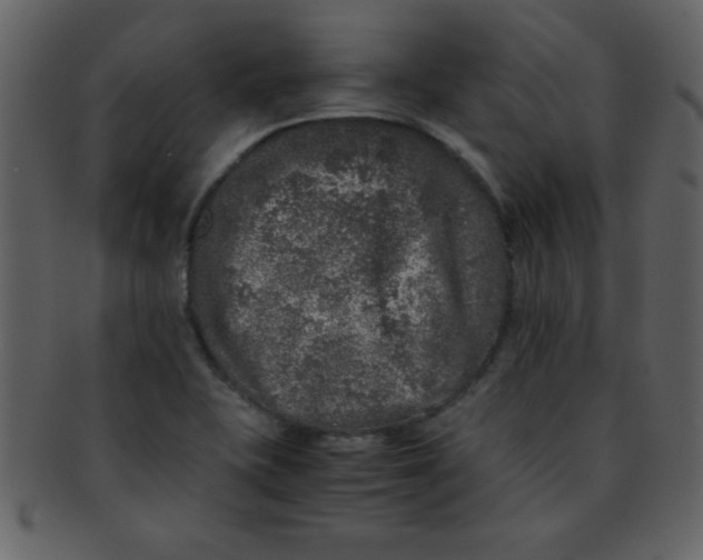 X0000093121415200710171235