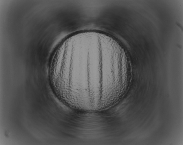 X0000093121416200710171235