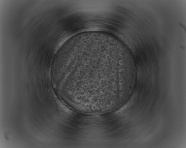 X0000093121417200710171235