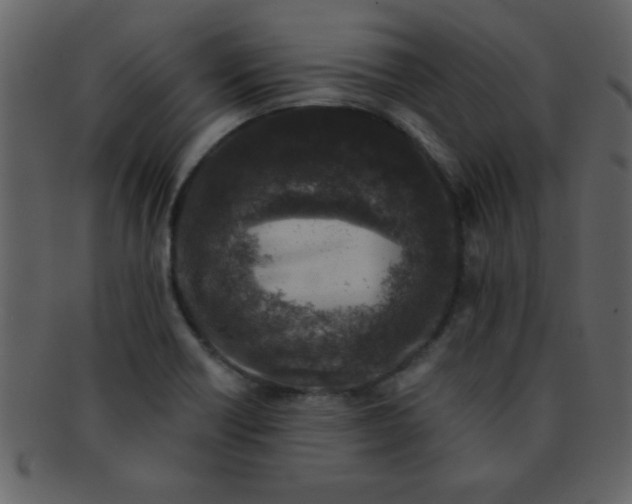 X0000093121418200710171235