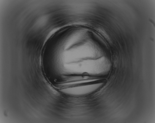 X0000093121420200710171235