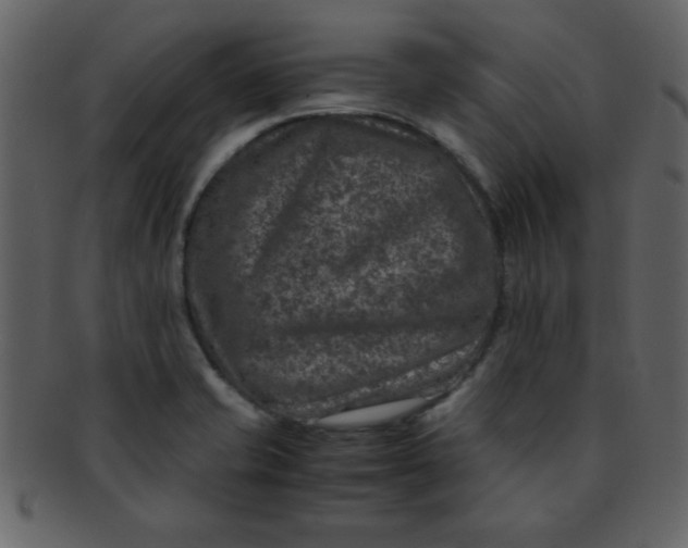 X0000093121421200710171235