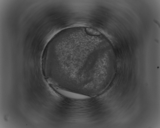 X0000093121423200710171235