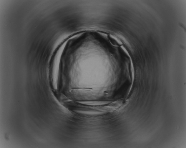 X0000093121424200710171235