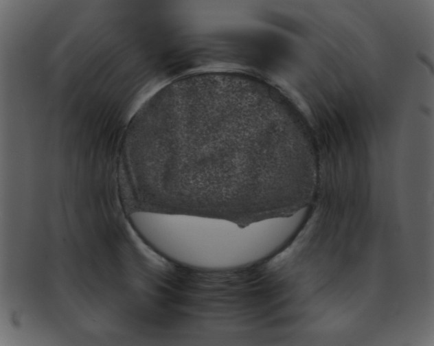 X0000093121425200710171235