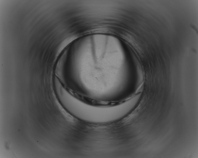 X0000093121426200710171235