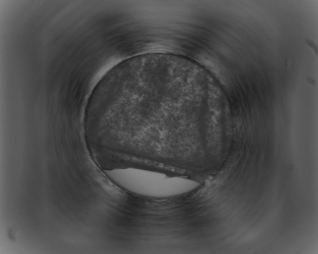 X0000093121427200710171235