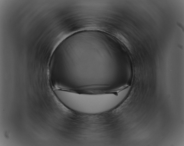 X0000093121428200710171235