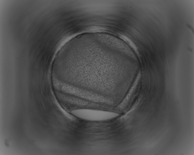 X0000093121429200710171235