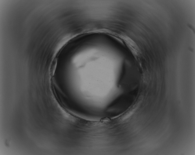 X0000093121430200710171235