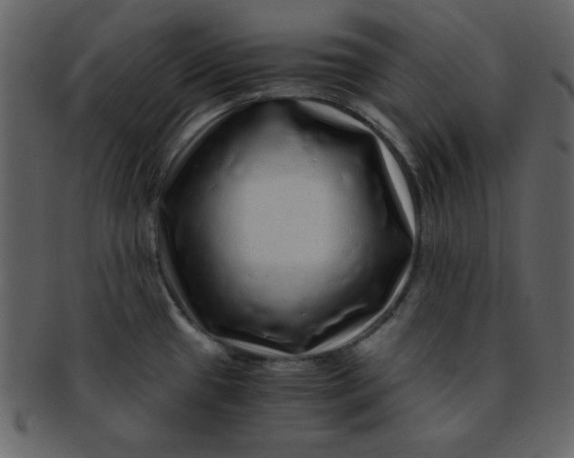 X0000093121433200710171235