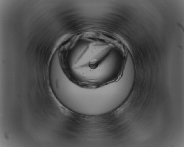 X0000093121434200710171235