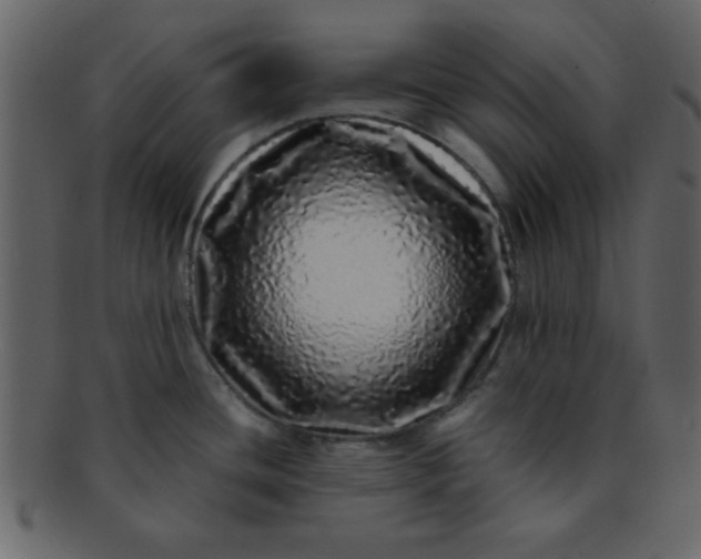 X0000093121436200710171235