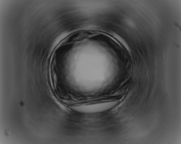 X0000093121437200710171235