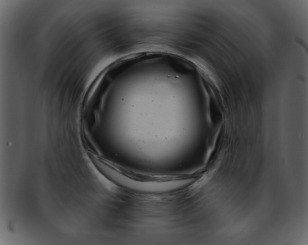 X0000093121438200710171235