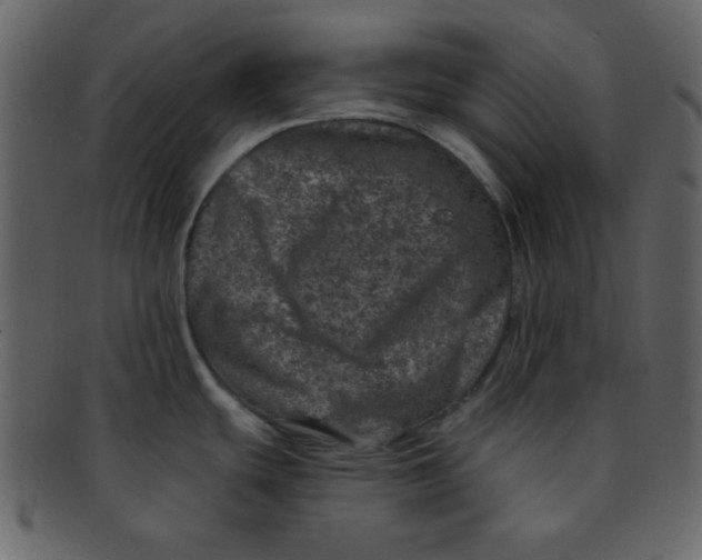 X0000093121439200710171235