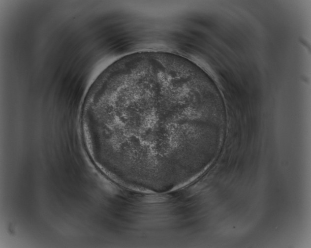 X0000093121440200710171235