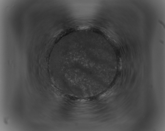 X0000093121441200710171235