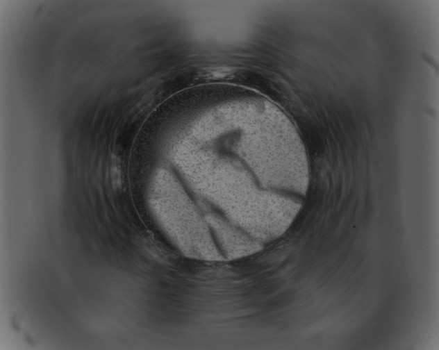 X0000093121442200710171235