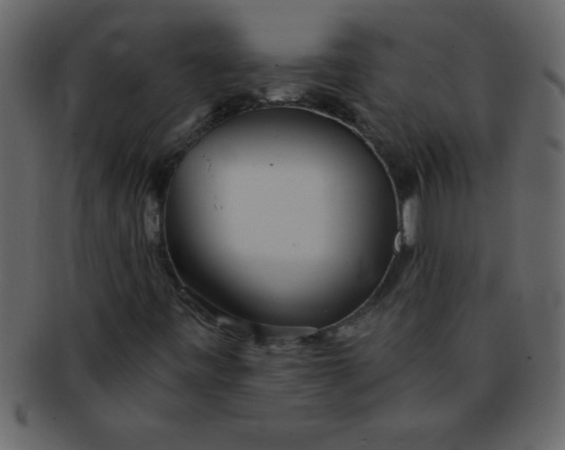 X0000093121443200710171235